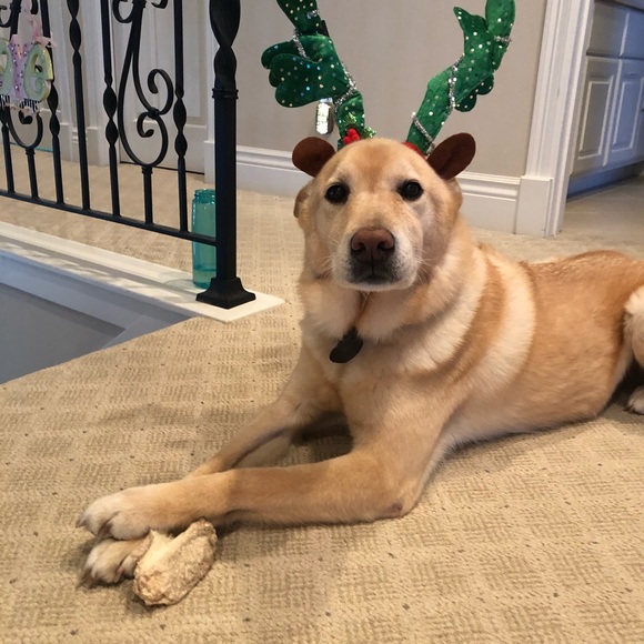 Meet the Posher, Joann - Picture 4 of 16